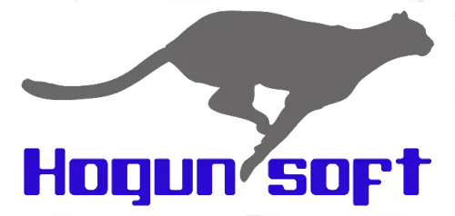Logo_hogunsoft_T